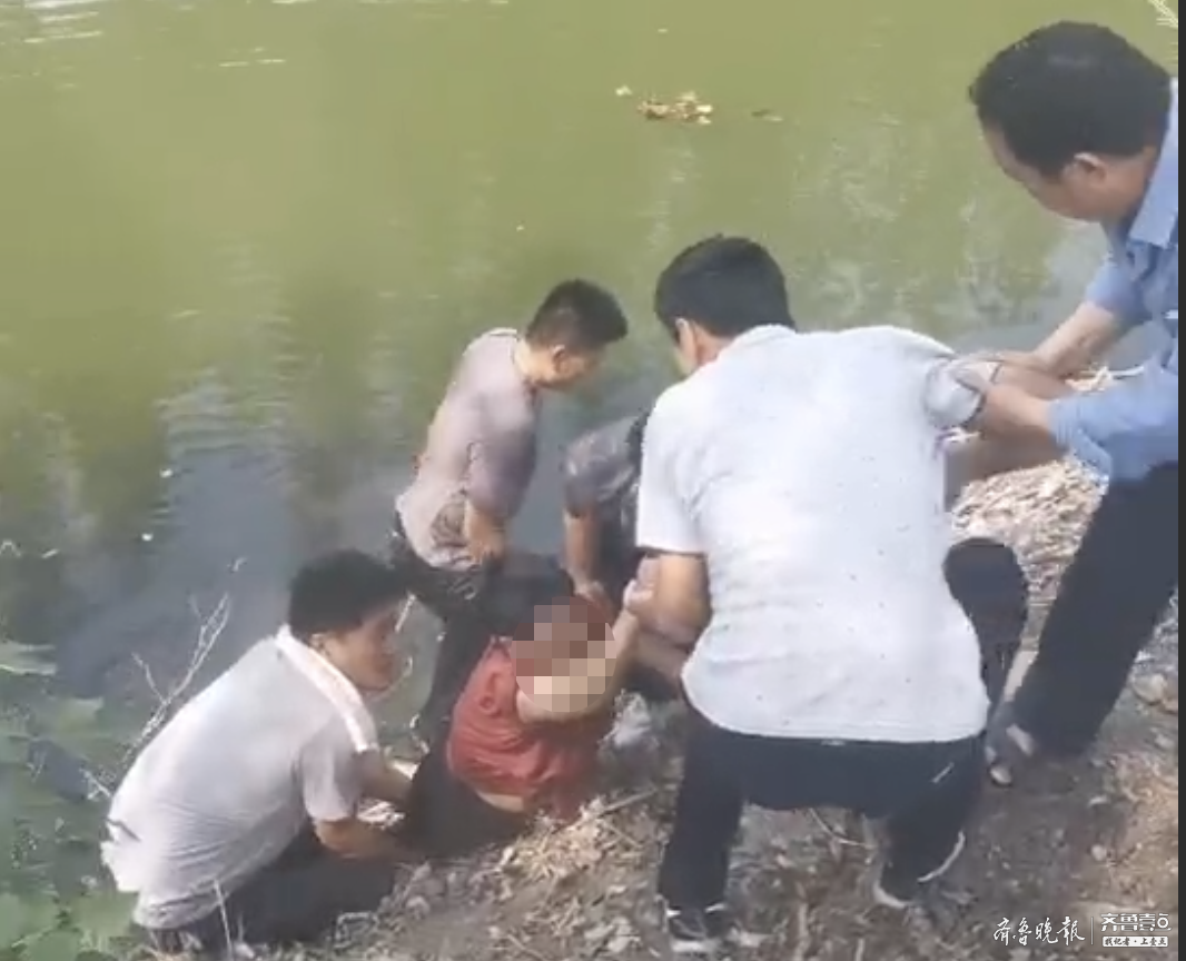 他们六人百米冲刺，合力救出坑塘的落水老人